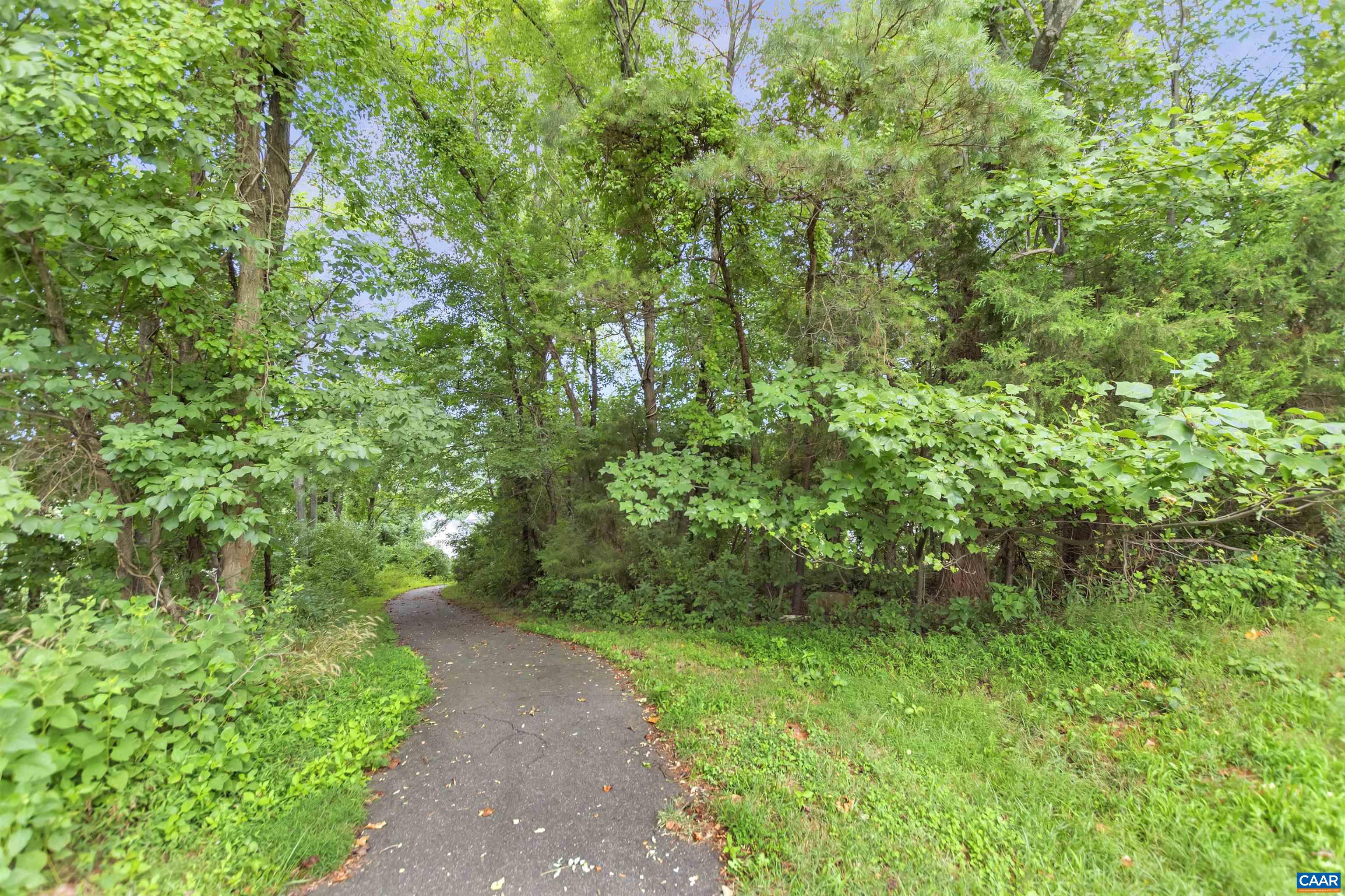 343 Rolkin Road Charlottesville, VA 22911 - Photo 35 of 35