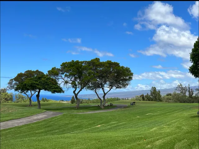 a view of yard with an trees