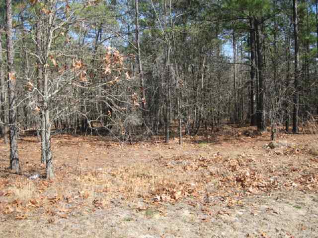 Tbd Stubby Oaks Road Aberdeen, NC 28315 - Photo 1 of 8 Primary Photo