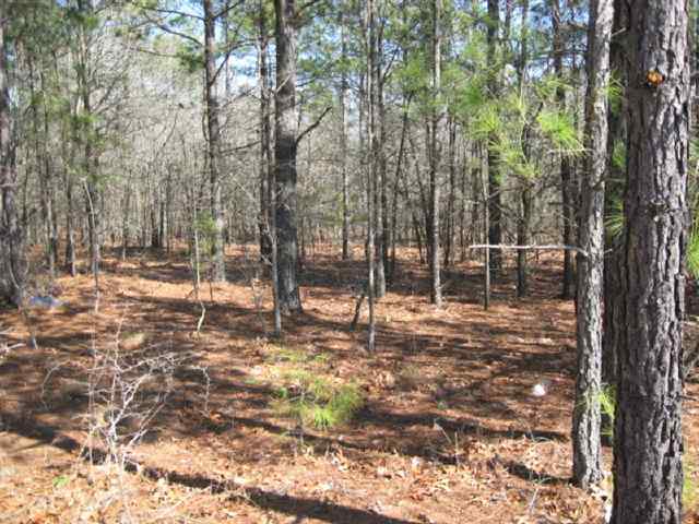 Tbd Stubby Oaks Road Aberdeen, NC 28315 - Photo 2 of 8 Additional Photo