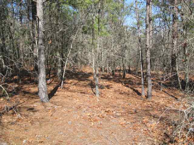 Tbd Stubby Oaks Road Aberdeen, NC 28315 - Photo 4 of 8 Additional Photo