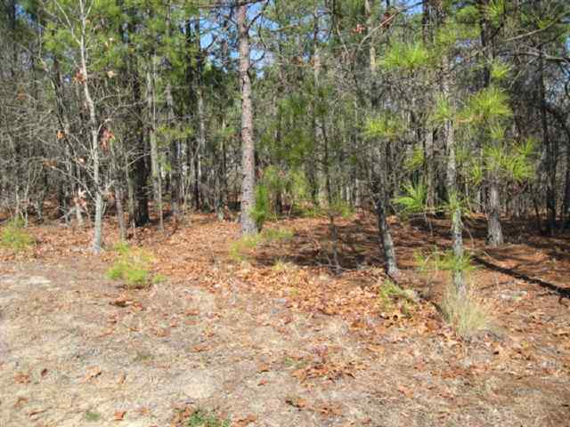 Tbd Stubby Oaks Road Aberdeen, NC 28315 - Photo 6 of 8 Additional Photo