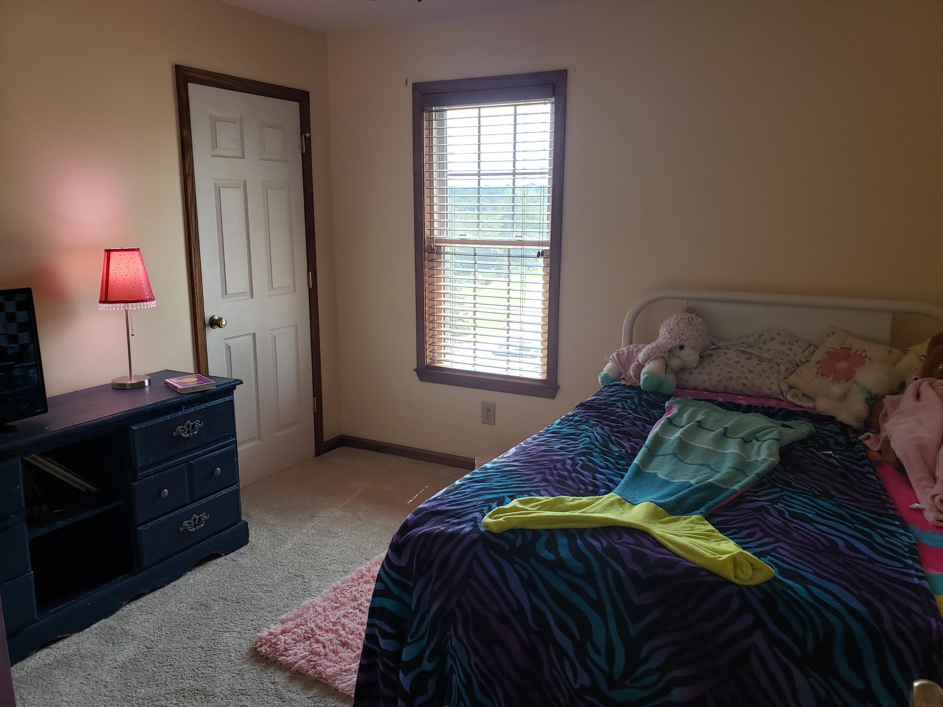 54 East Ridges Drive Chuckey, TN 37641 - Photo 14 of 27 20210730_152632