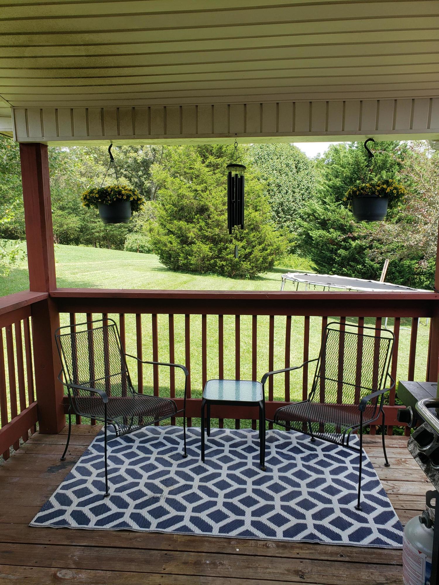 54 East Ridges Drive Chuckey, TN 37641 - Photo 24 of 27 20210730_151911