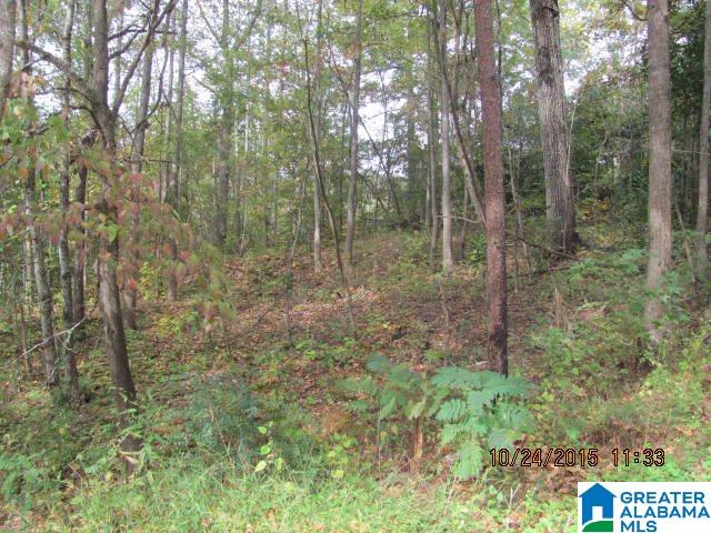 0 Lake Tate Road, Unit 38 Sylacauga, AL 35151 - Photo 6 of 11