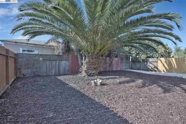 a view of a backyard with tall trees