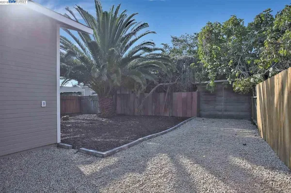 a view of a backyard with a tree