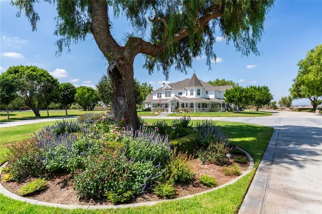 a view of a swimming pool with a garden