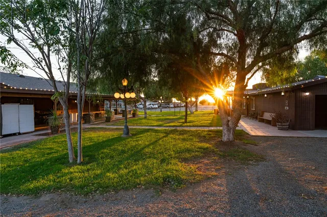 a view of a park with tree s