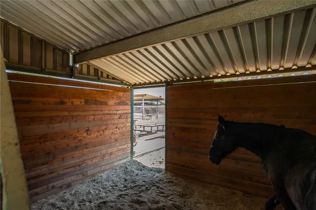 a view of walk in closet