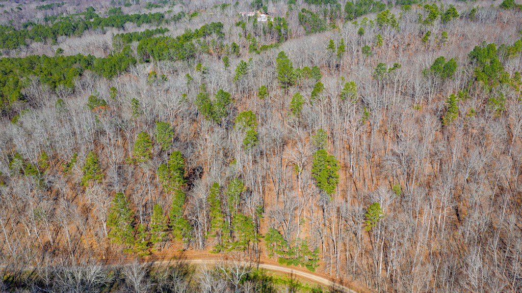 0 Rambling Road Talking Rock, GA 30175 - Photo 7 of 15 Gallery Image 7