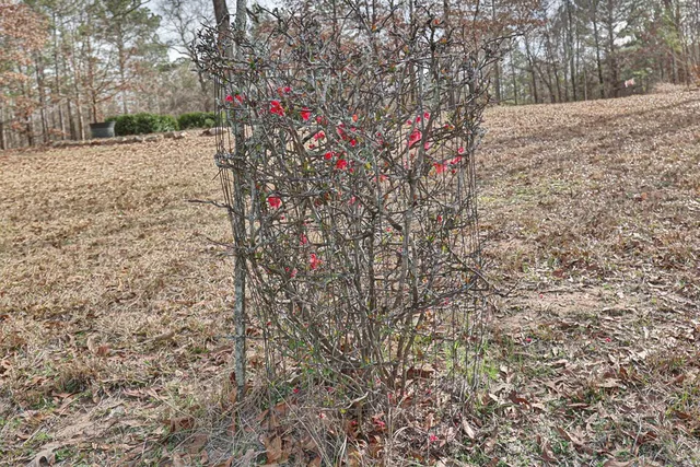 $688,590 | 5072 Ga Highway, Hamilton, GA 31811