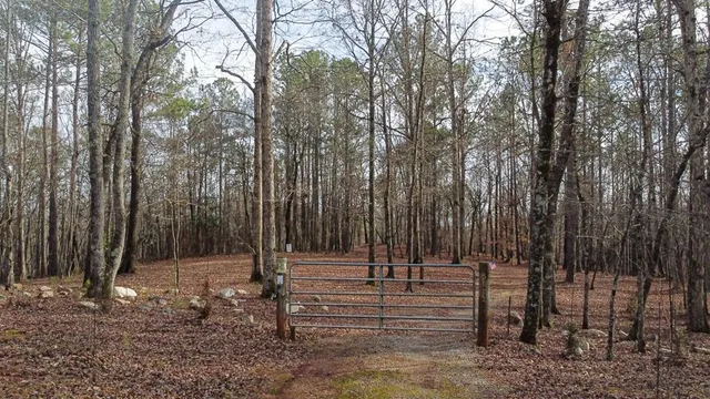 a backyard of a house with trees