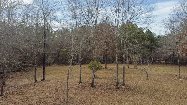 a view of a yard with trees
