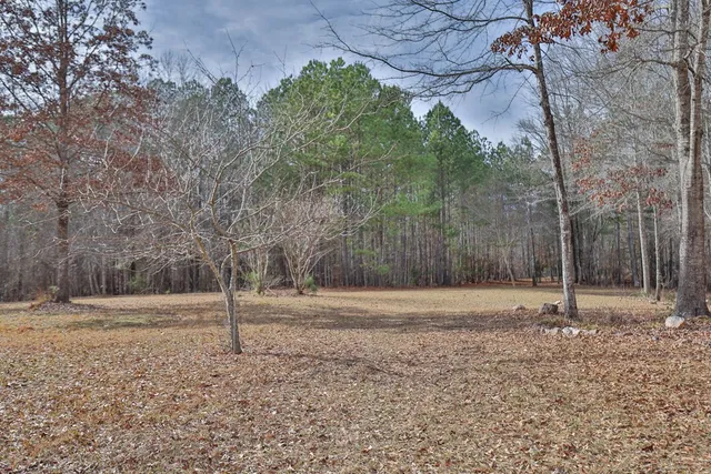 a view of a yard with trees