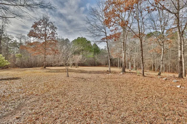 a view of a yard with flowers