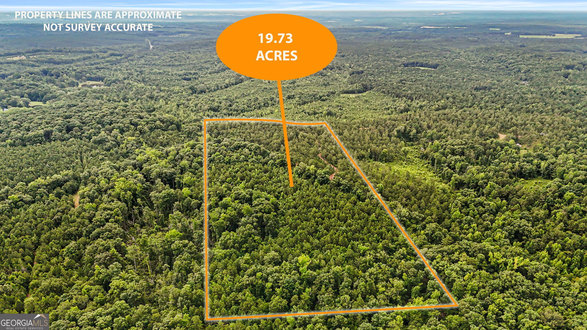 0 Howard Road Roberta, GA 31078 - Photo 3 of 14