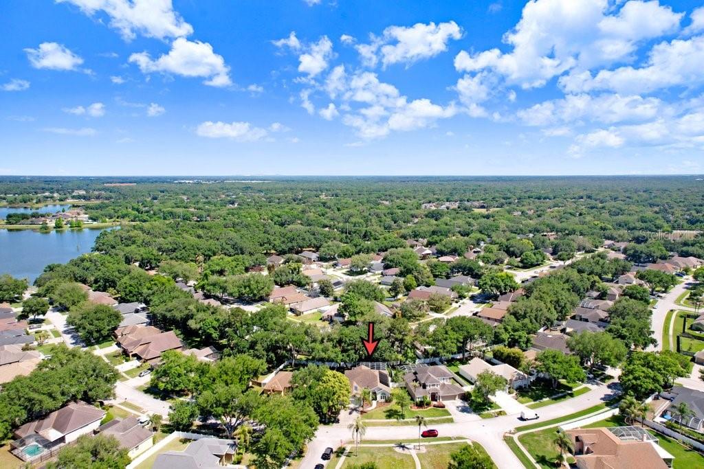 3026 Partridge Point Trail Valrico, FL 33596 - Photo 10 of 55