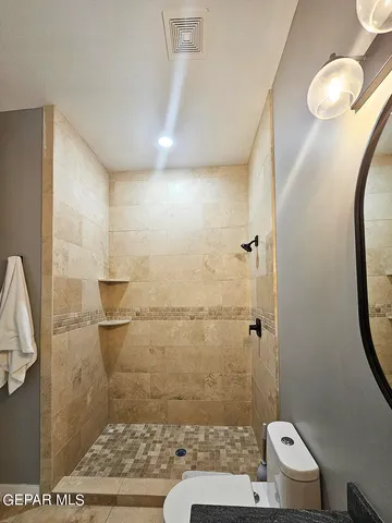 a bathroom with a sink a toilet and a shower