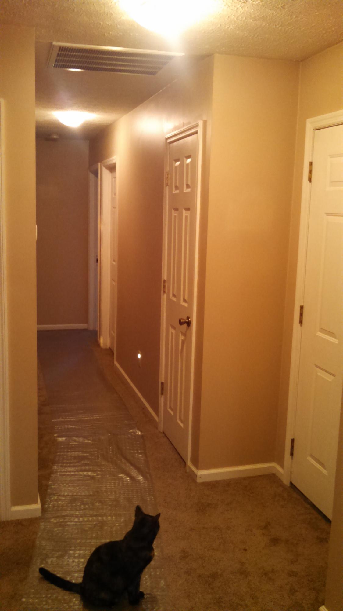 3849 Glendale Road Bybee, TN 37713 - Photo 17 of 27 494471_294377_1446850262958