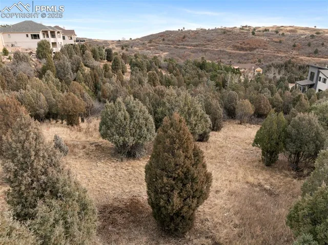 a view of a yard with a tree