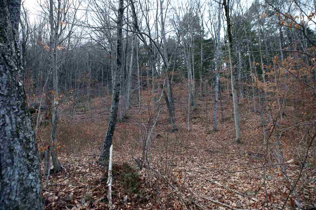 524 Ledge Road Grafton, VT 05146 - Photo 14 of 33 Gallery Image 14