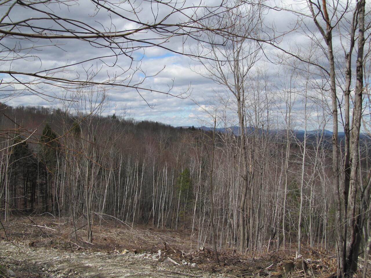 54.62 McAlister Road Buckfield, ME 04220 - Photo 5 of 80 IMG_0232