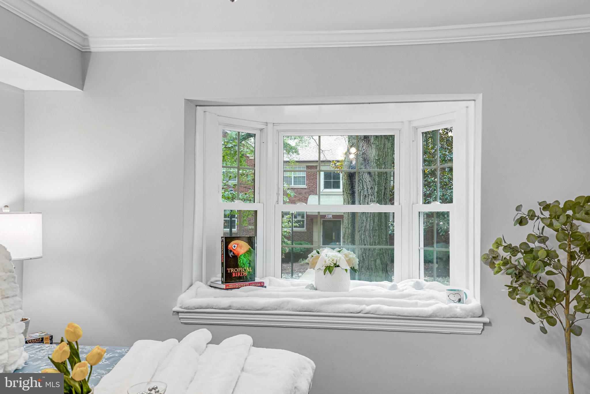 2106 North Scott Street, Unit 40 Arlington, VA 22209 - Photo 21 of 34 a living room with furniture and a potted plant