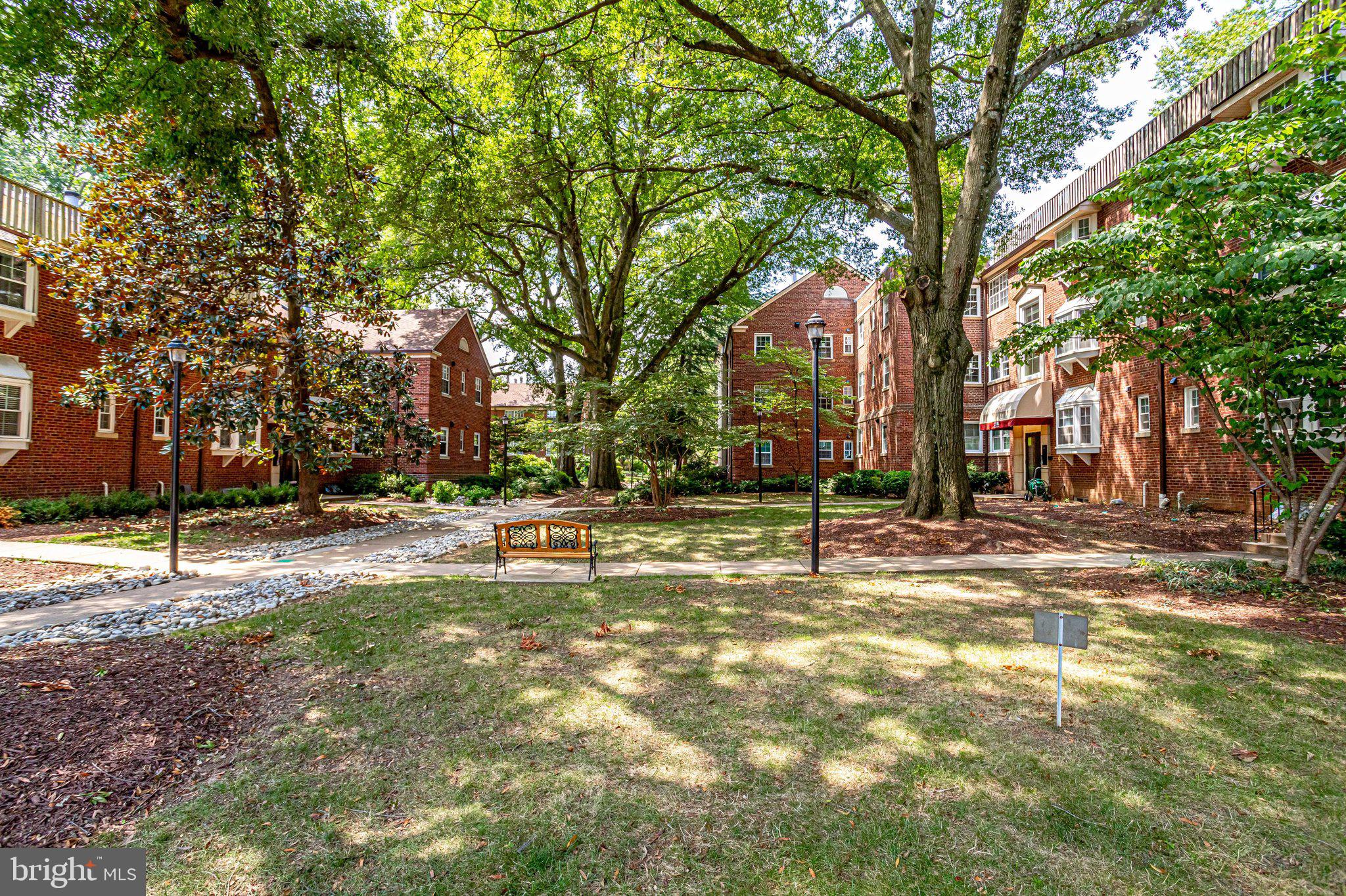 2106 North Scott Street, Unit 40 Arlington, VA 22209 - Photo 3 of 34 a view of a yard with a tree