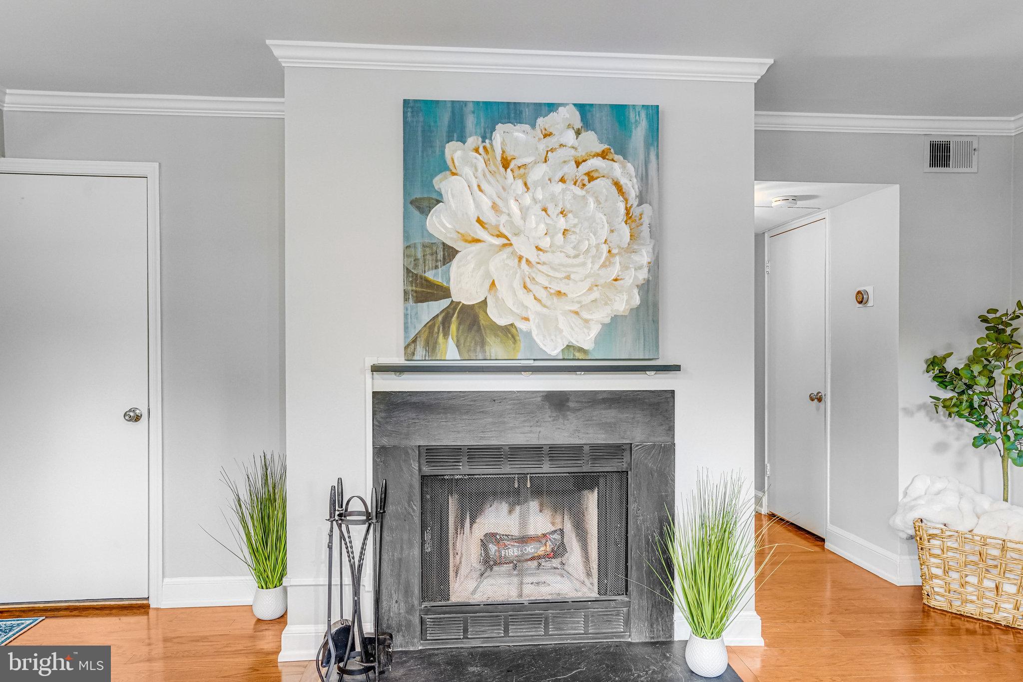 2106 North Scott Street, Unit 40 Arlington, VA 22209 - Photo 6 of 34 a living room with a fireplace and a potted plant