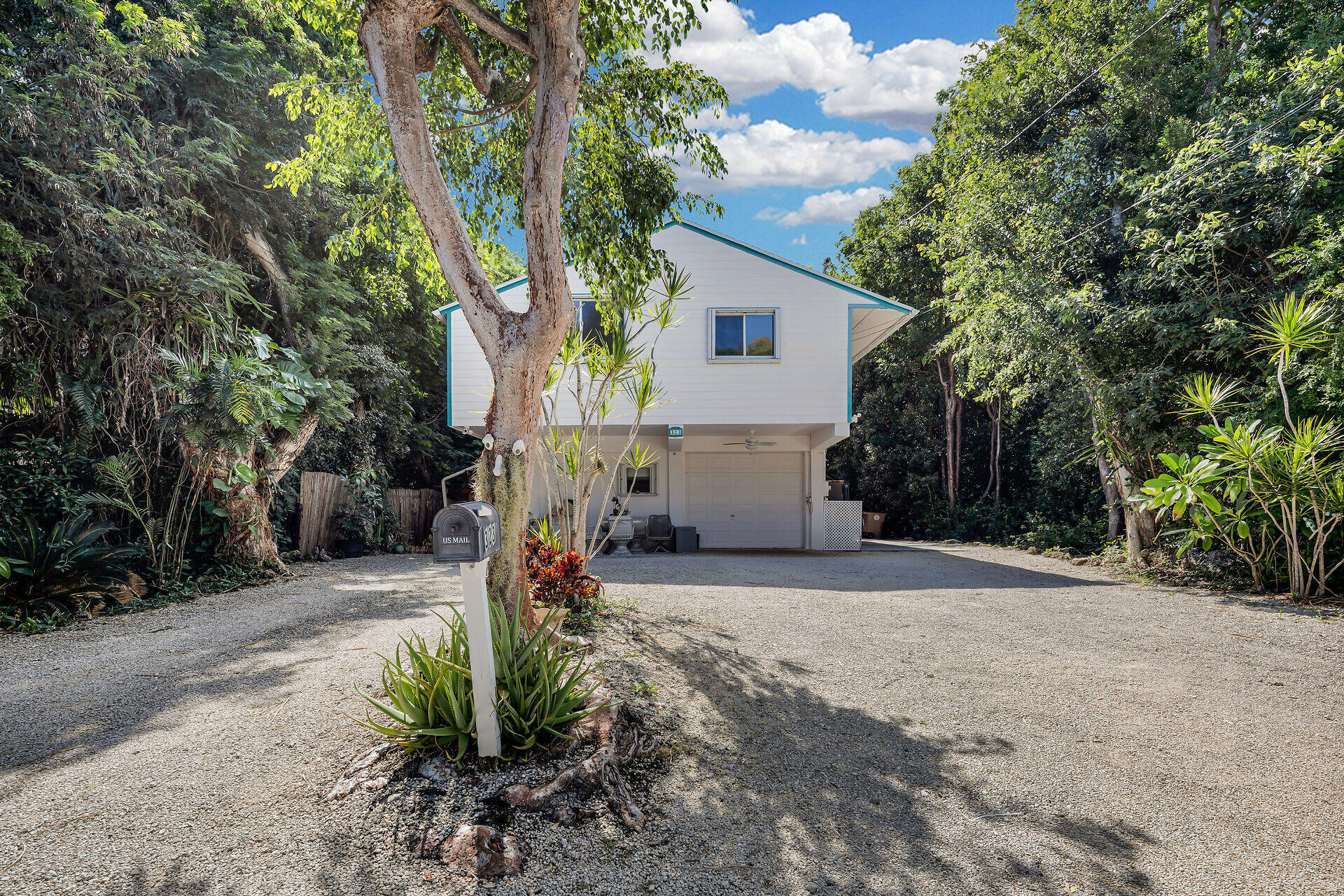 a view of back yard of the house