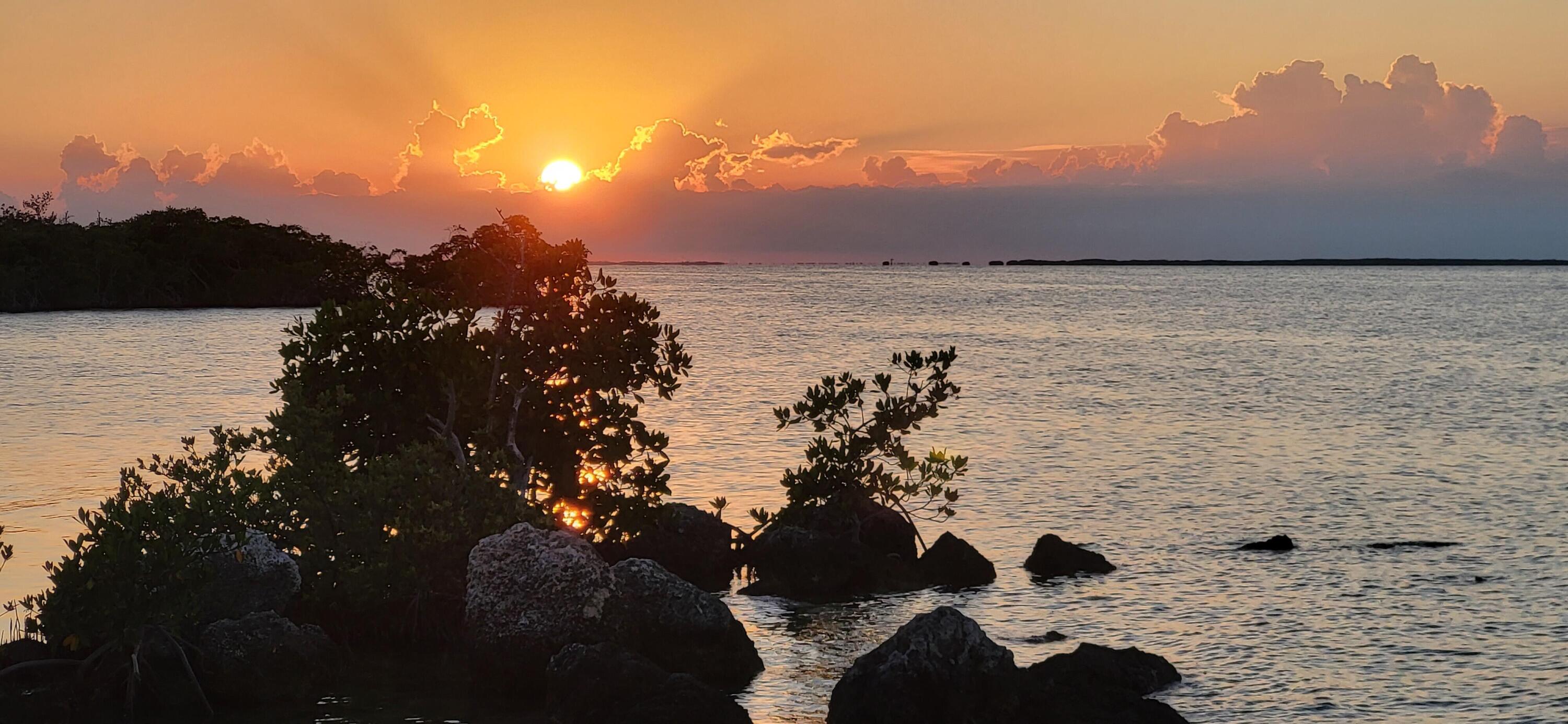 323 Bayview Avenue Key Largo, FL 33037 - Photo 42 of 46 a view of lake
