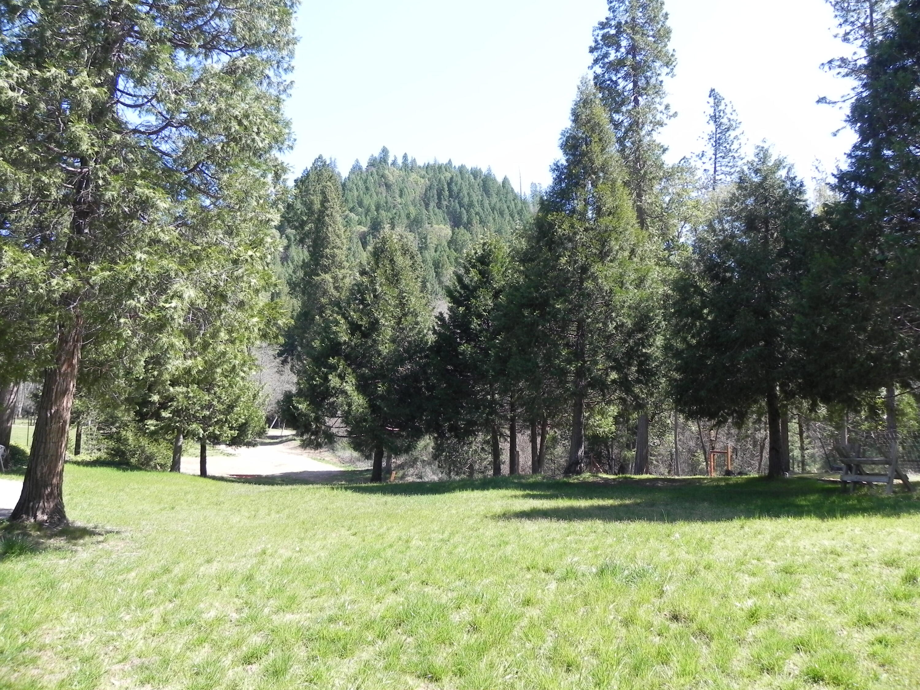 4334 Pleasant Creek Road Rogue River, OR 97537 - Photo 11 of 43 DSCN2431
