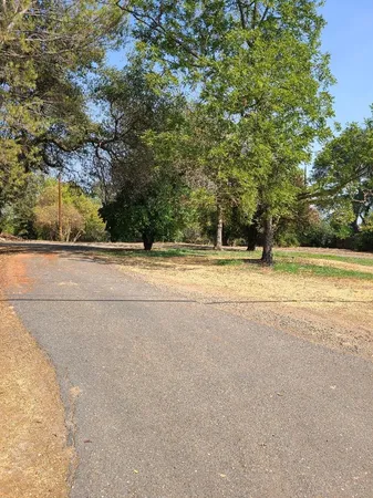 a view of a house with a yard and large trees