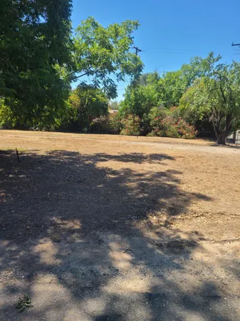 a view of yard with large trees