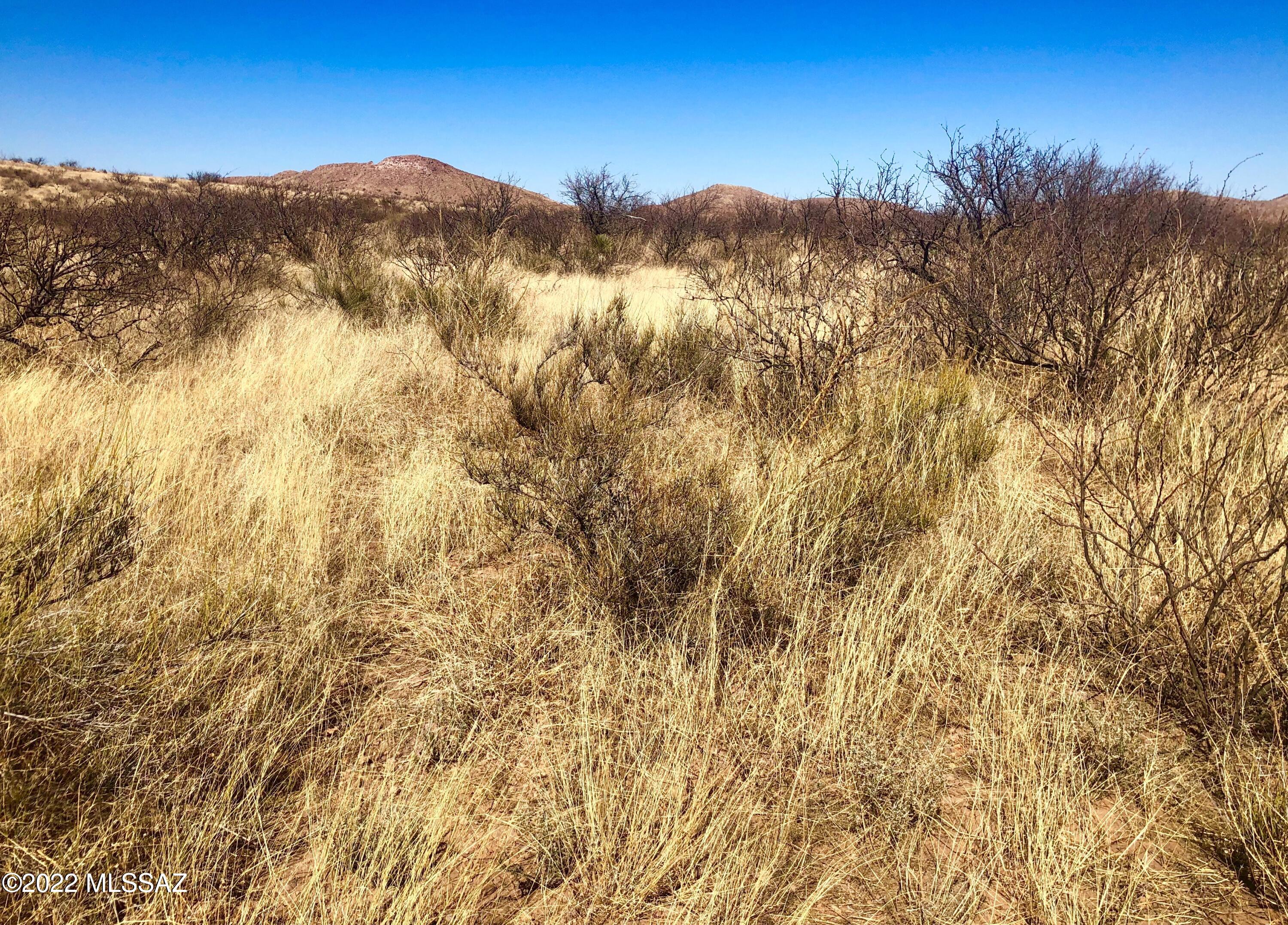 5.11-ac North Rucker Canyon Road Elfrida, AZ 85610 - Photo 45 of 50