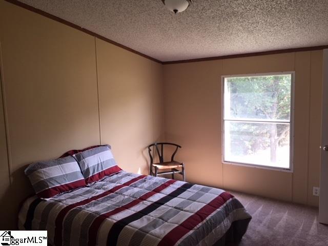 541 Thomason Road Fountain Inn, SC 29644 - Photo 11 of 15