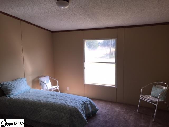 541 Thomason Road Fountain Inn, SC 29644 - Photo 12 of 15