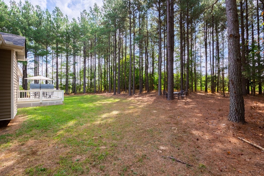 348 Loman Road Meherrin, VA 23954 - Photo 35 of 41 Gallery Image 35