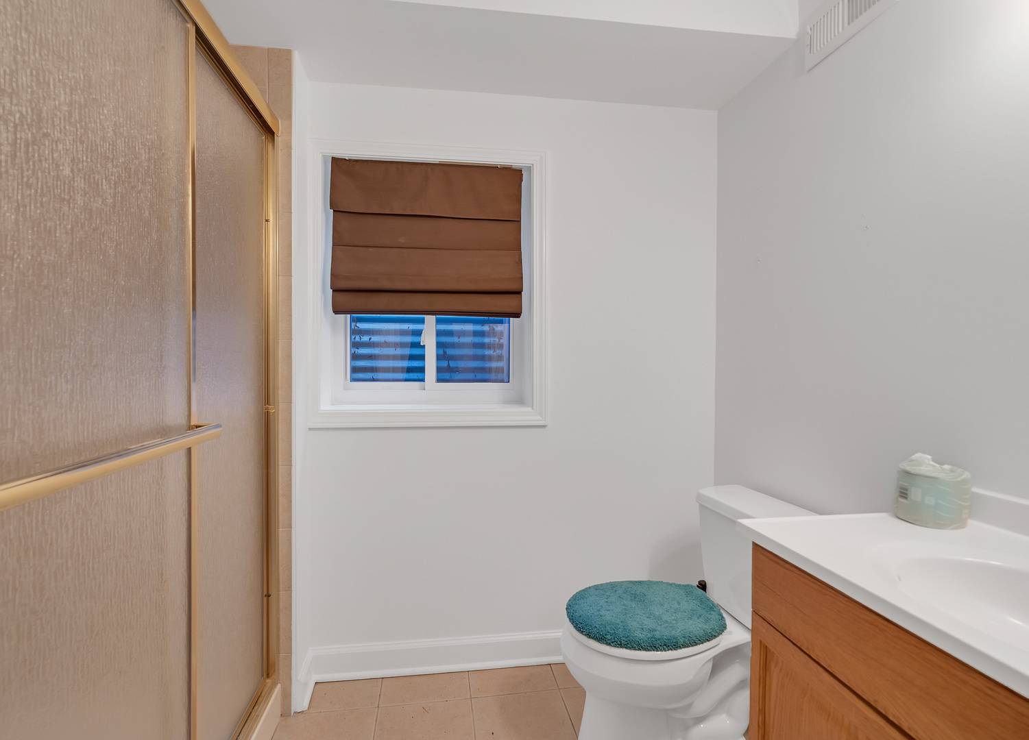 2227 Shetland Road Inverness, IL 60010 - Photo 54 of 66