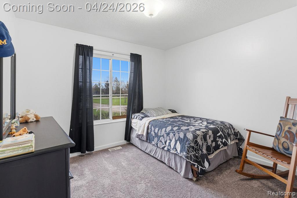 10511 North Lewis Road Clio, MI 48420 - Photo 17 of 42