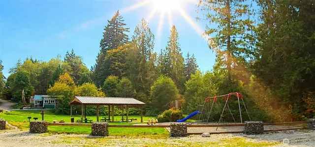 a view of a swimming pool with a garden