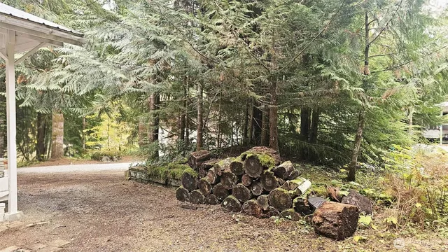 a view of a yard with plants and trees