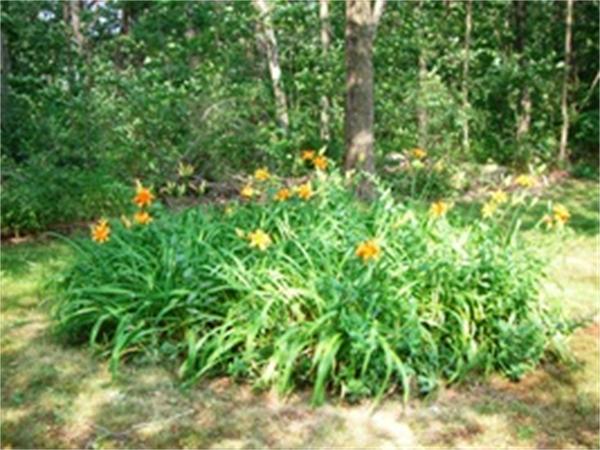 18 St Marys Road Burlington, MA 01803 - Photo 2 of 22 Gallery Image 2