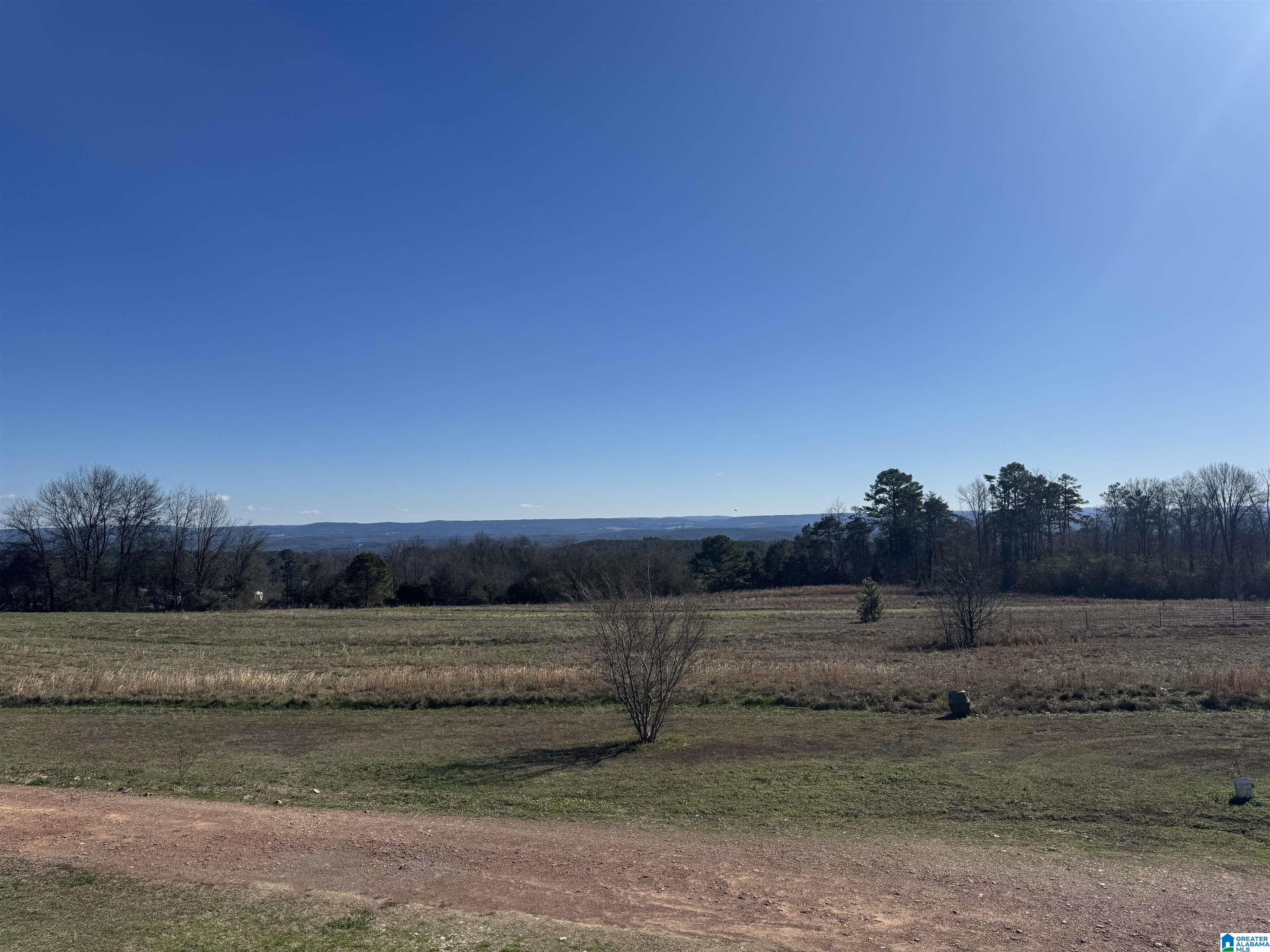565 Rb Shadrix Road Hayden, AL 35079 - Photo 44 of 49