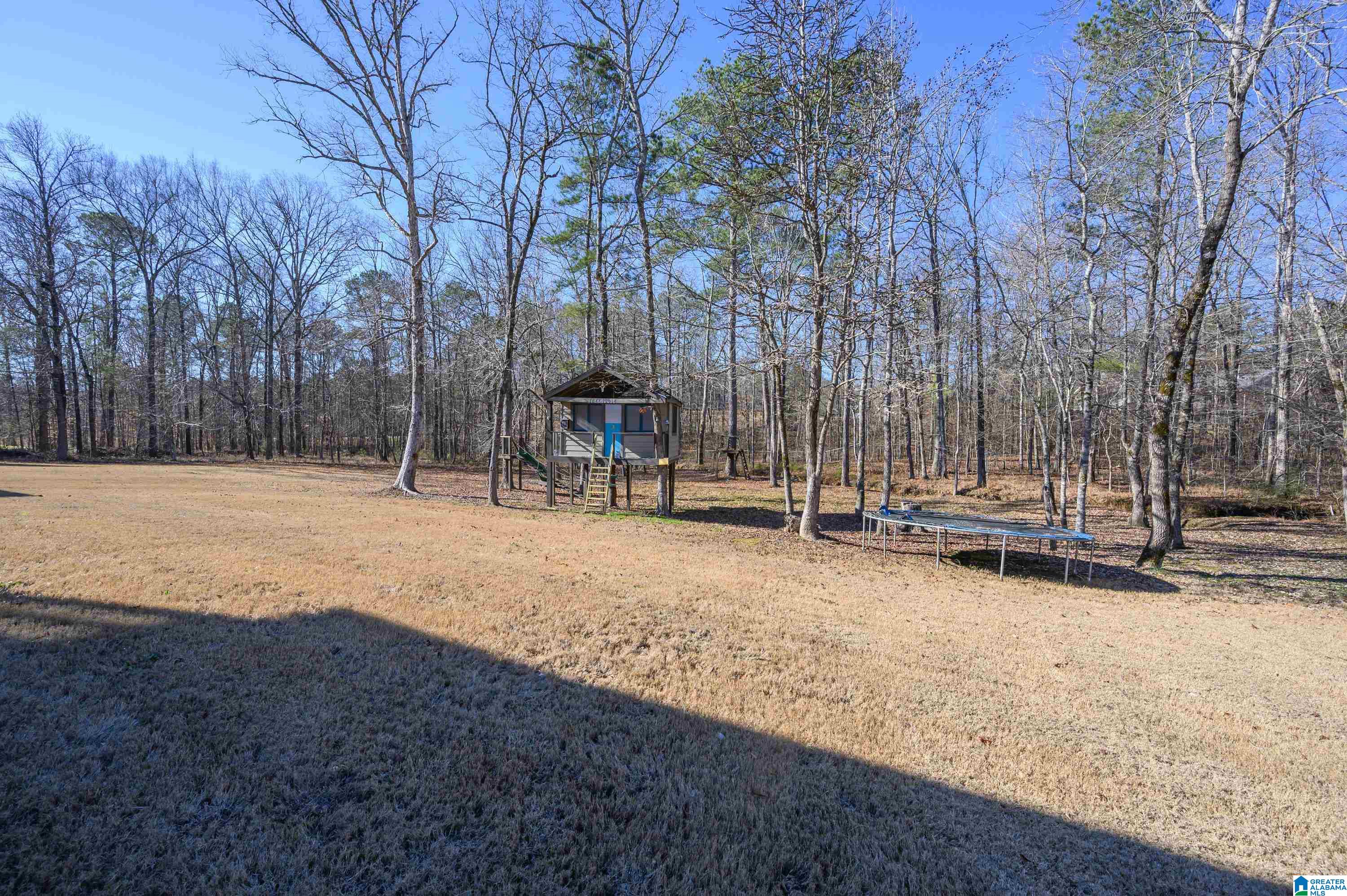 516 Baron Circle Chelsea, AL 35043 - Photo 56 of 56