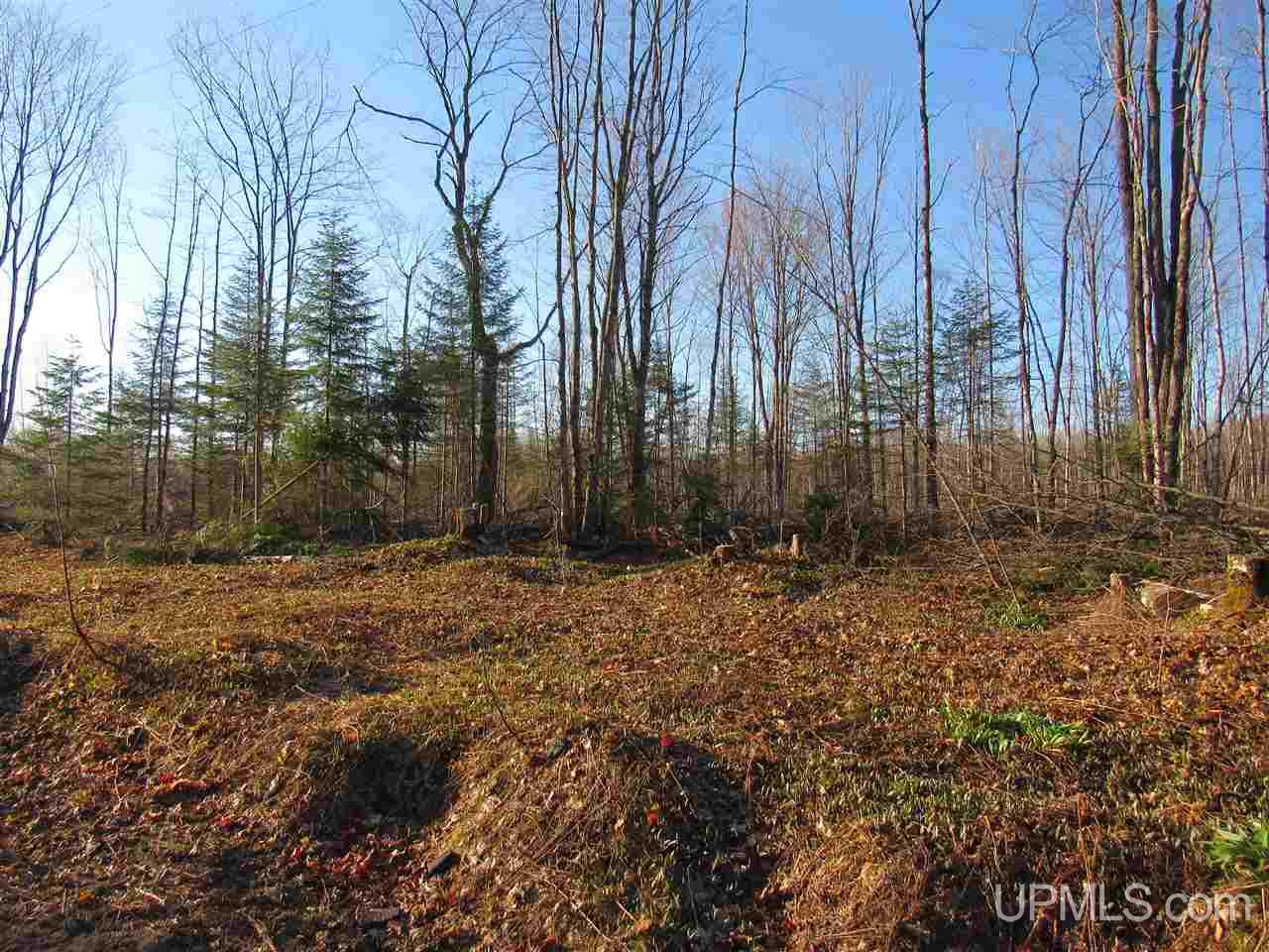 Tbd Tbd Mcmaster Road Skandia, MI 49885 - Photo 4 of 10