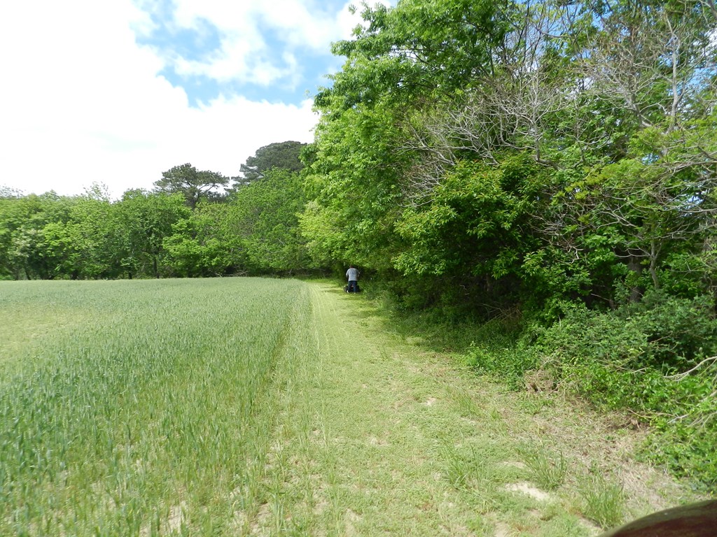 Lot1 Miles Wharf Road, Unit 1 Exmore, VA 23350 - Photo 20 of 33