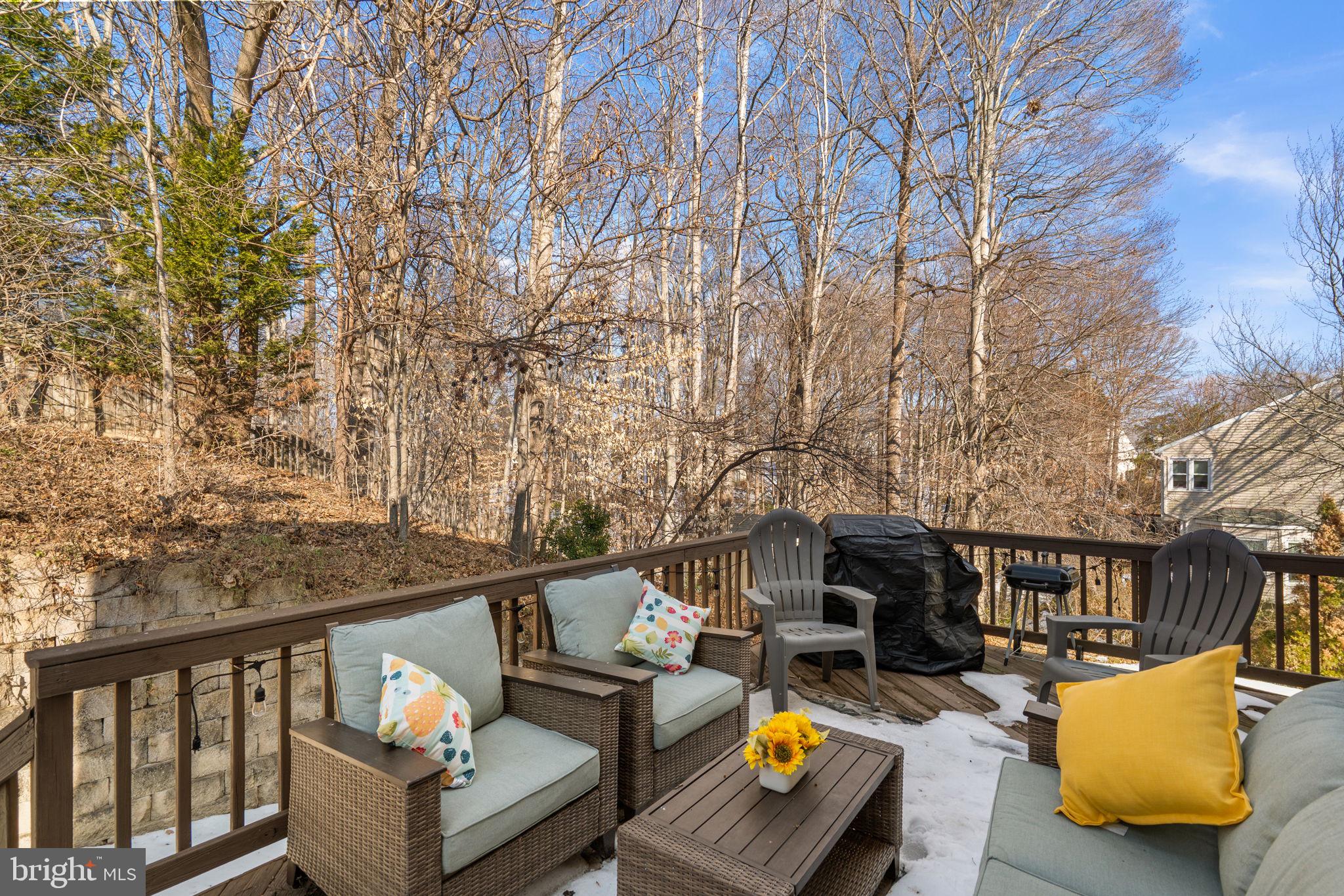 42 Lawhorn Road Stafford, VA 22554 - Photo 17 of 46 a view of a couches in the roof deck