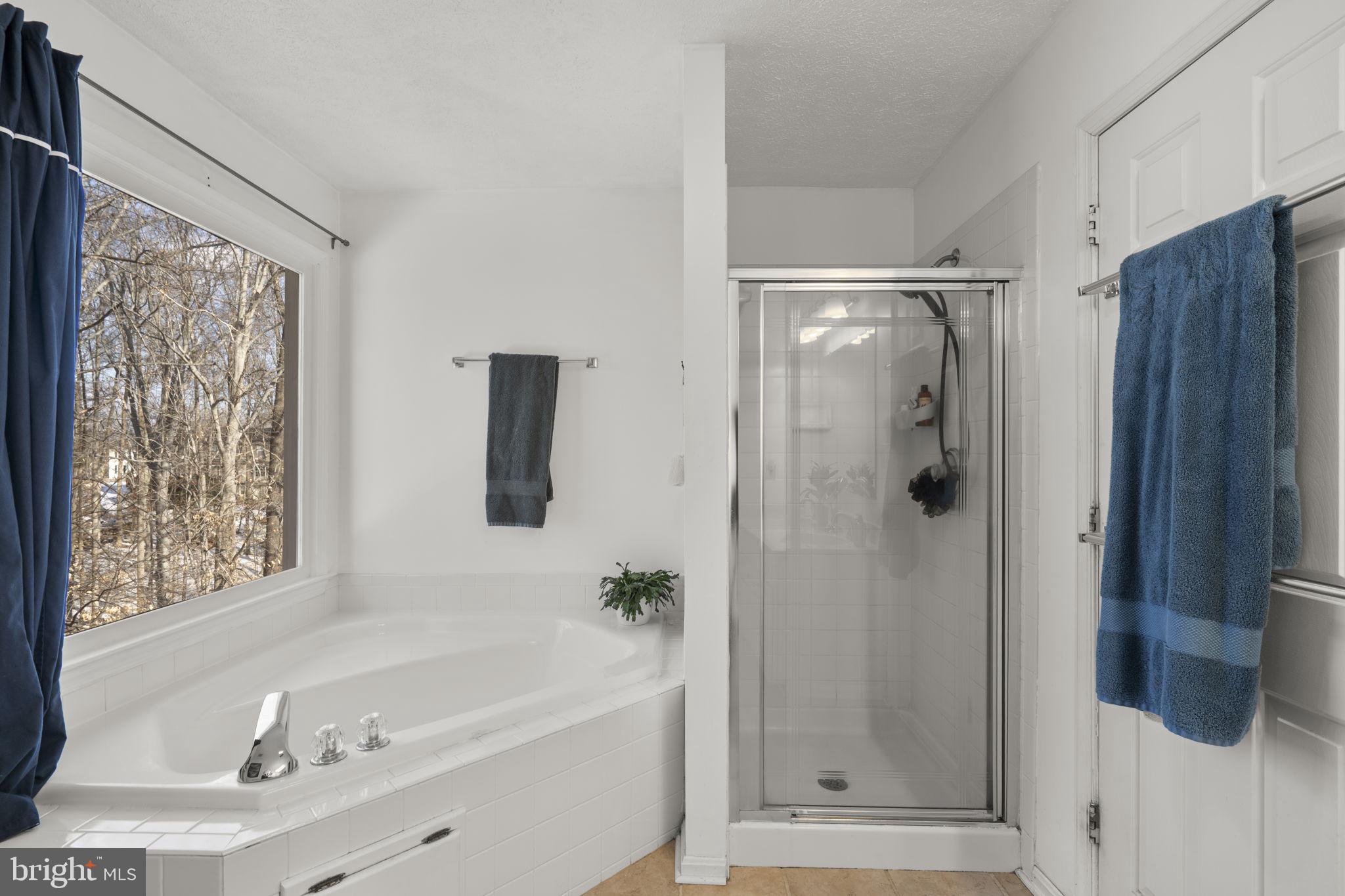 42 Lawhorn Road Stafford, VA 22554 - Photo 29 of 46 a bathroom with a bathtub and a shower